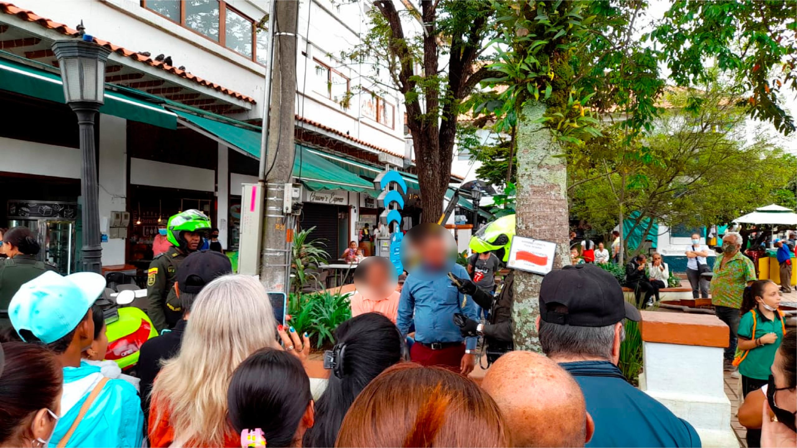 Web ladrones robados captura