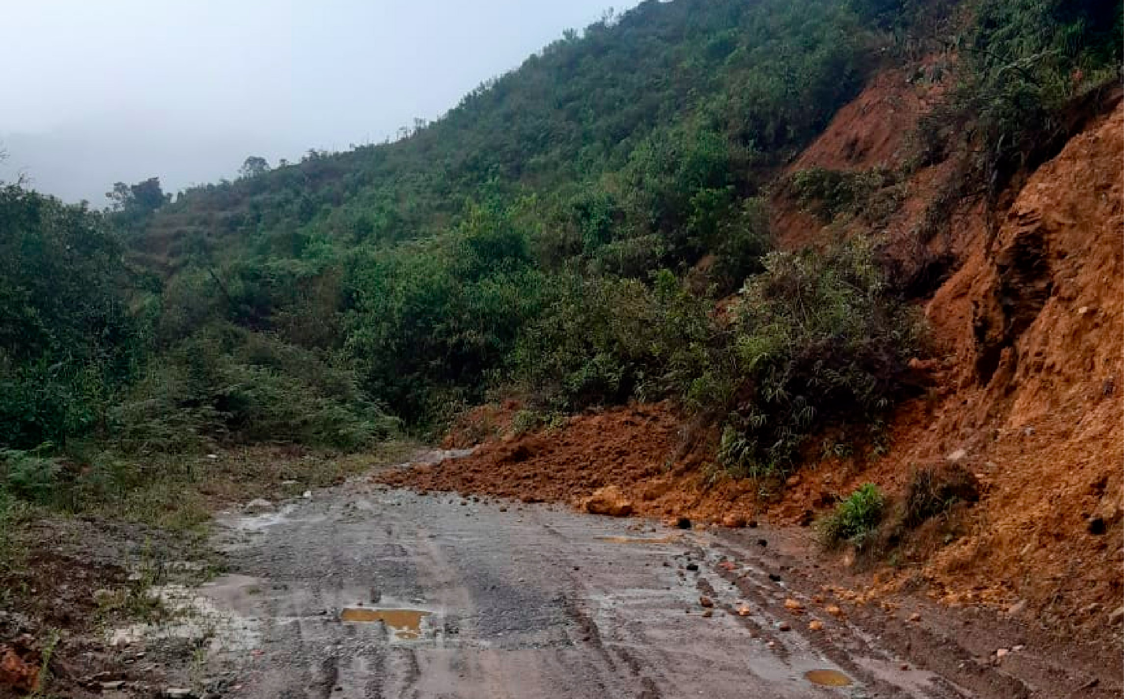 Web derrumbes abejorral