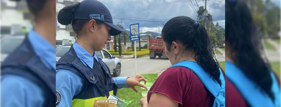 WEb-agente-de-transito-pedagogia