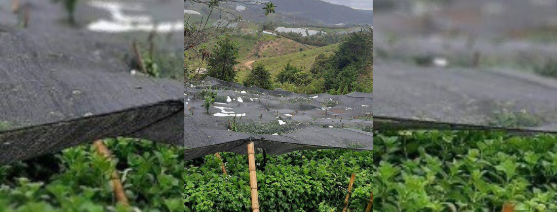 6CE1832C-7473-4CC2-AC9E-524BA00E65D6