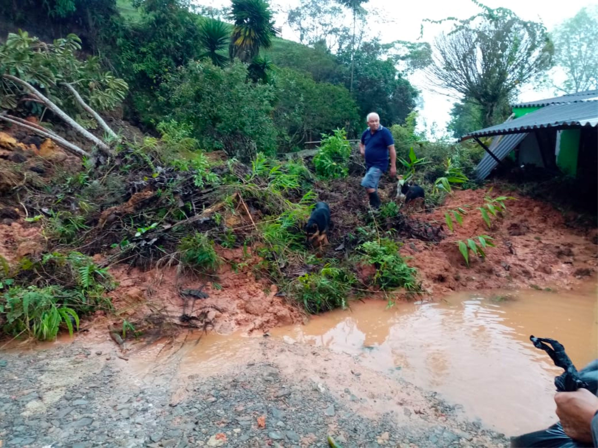 web-23-invierno-narino