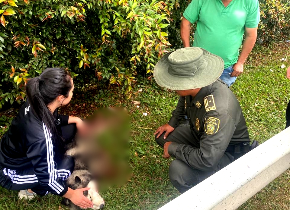 WhatsApp Image 2023-02-14 at 6.35.11 PM