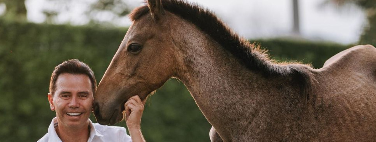 ¡Vuelve-a-su-casa!-Después-de-cinco-meses,-el-caballo-Valentino-Rivera-fue-dado-de-alta