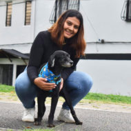 perrito-medellin