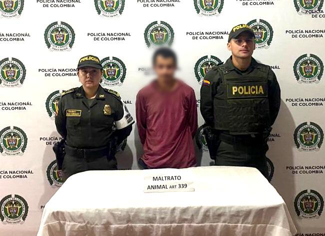 WhatsApp Image 2023-04-12 at 9.27.24 AM