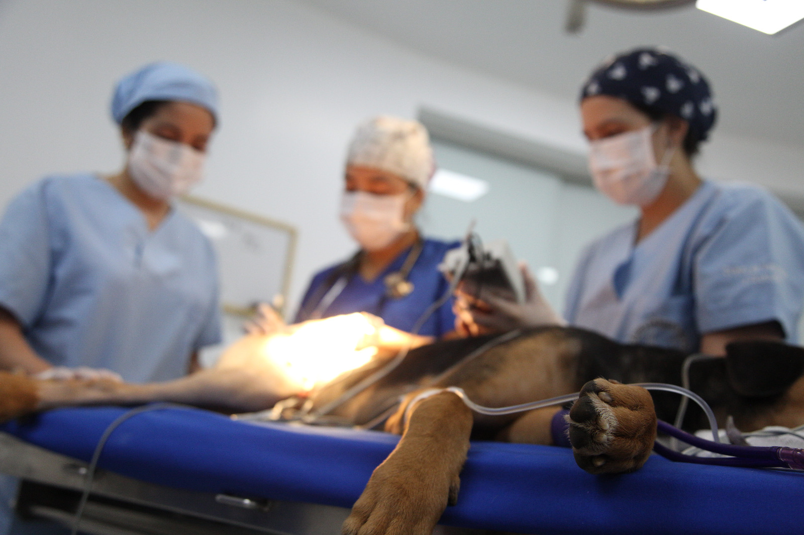 WhatsApp Image 2023-04-24 at 11.12.39 AM