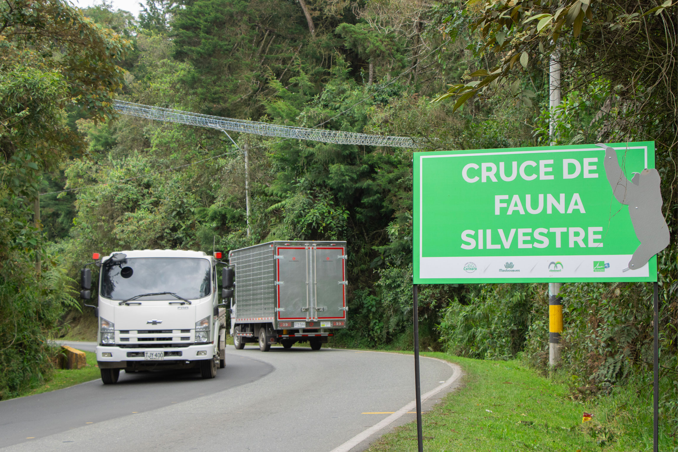 web-23-cruce-fauna-silvestre cruce-fauna-silvestre