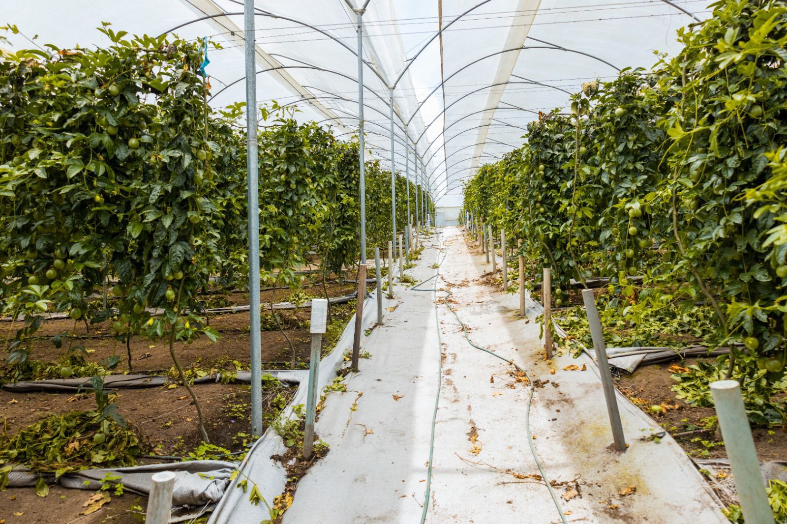 WhatsApp Image 2023-05-03 at 9.25.59 AM