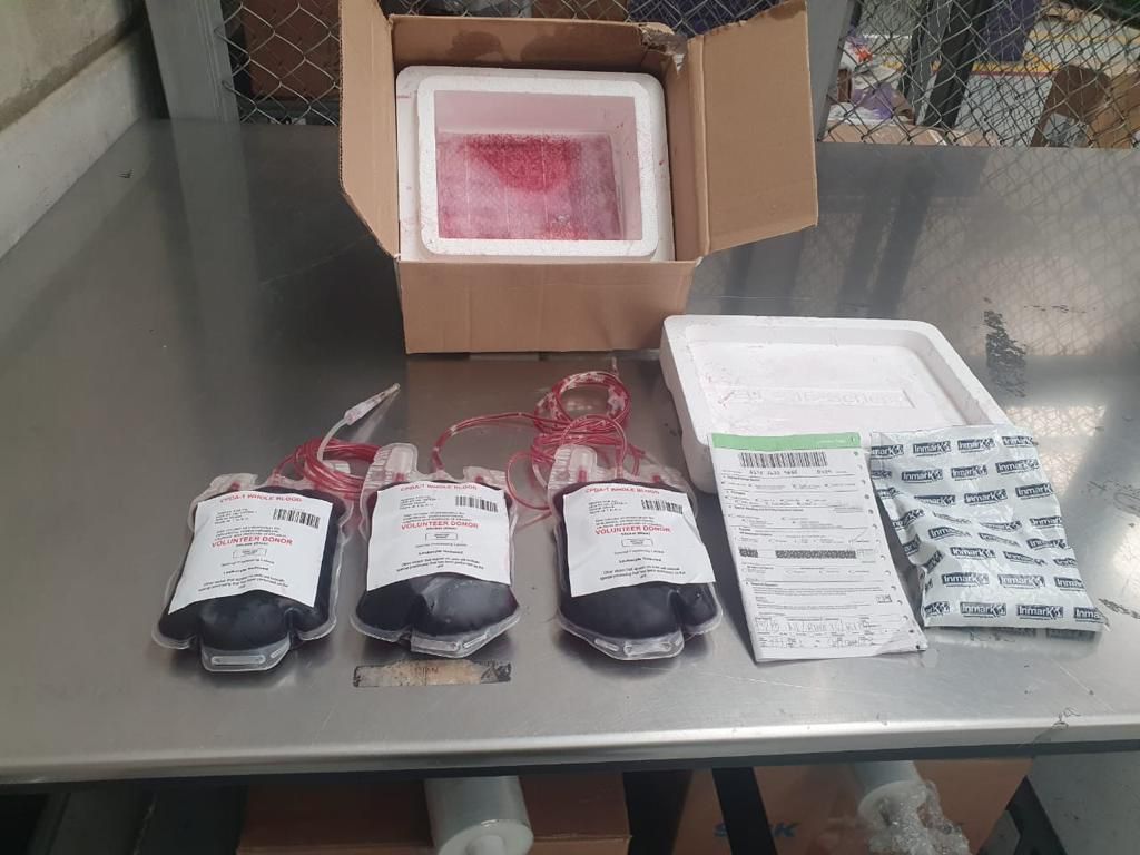 WhatsApp Image 2023-05-09 at 8.23.56 AM