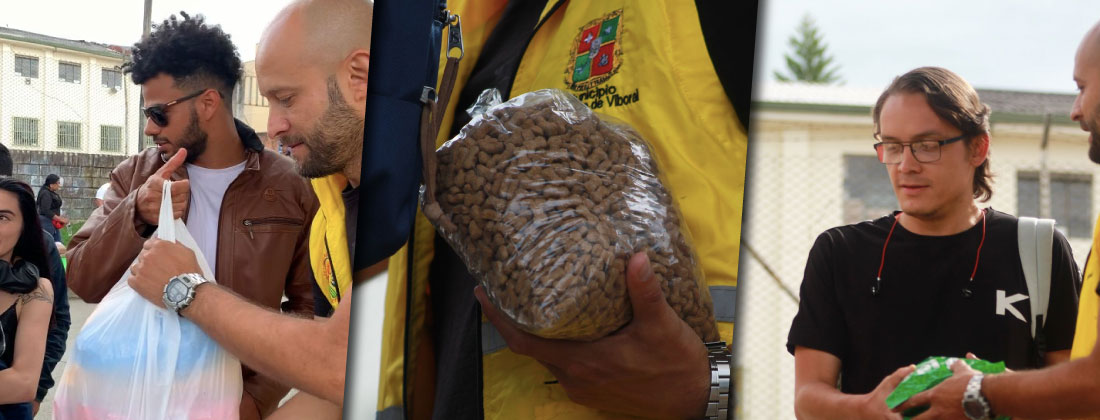 web-23-cuido-viboral-rock cuido-viboral-rock