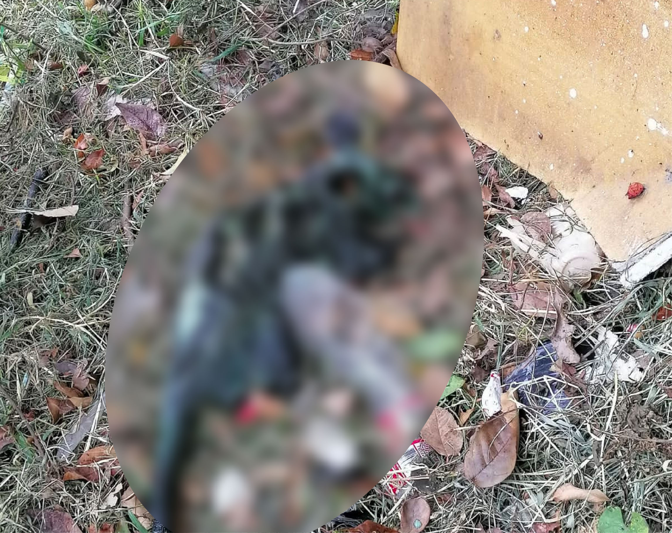 web-23-zarigueyaatacada-medellin zarigueyaatacada-medellin