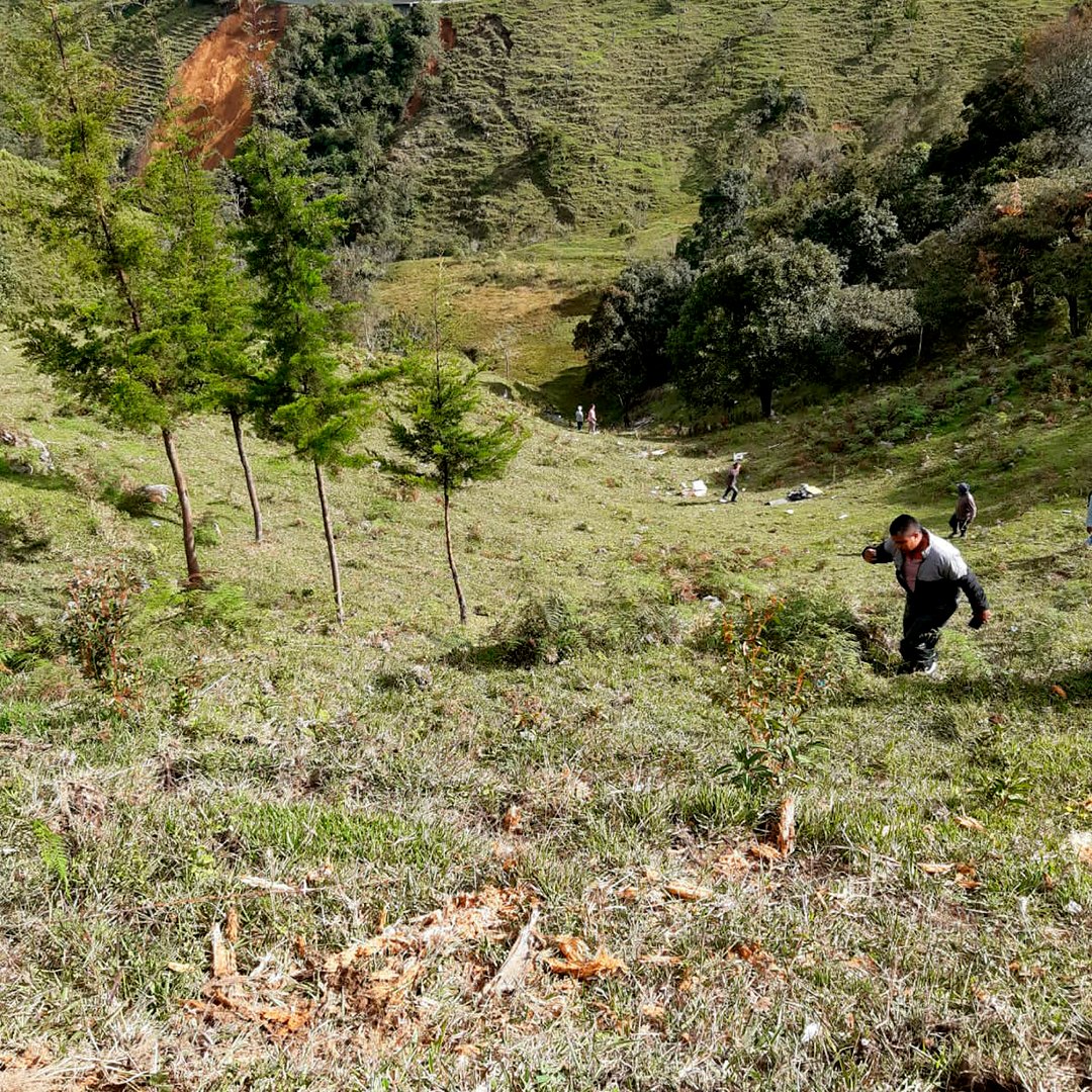 286924185_2093600077468637_7639545076243795787_n