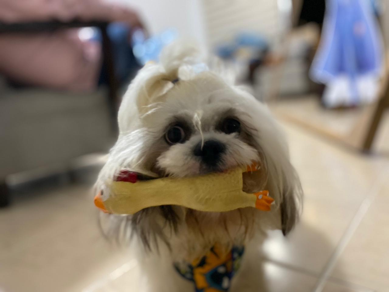 WhatsApp-Image-2023-08-31-at-10.13.53-AM