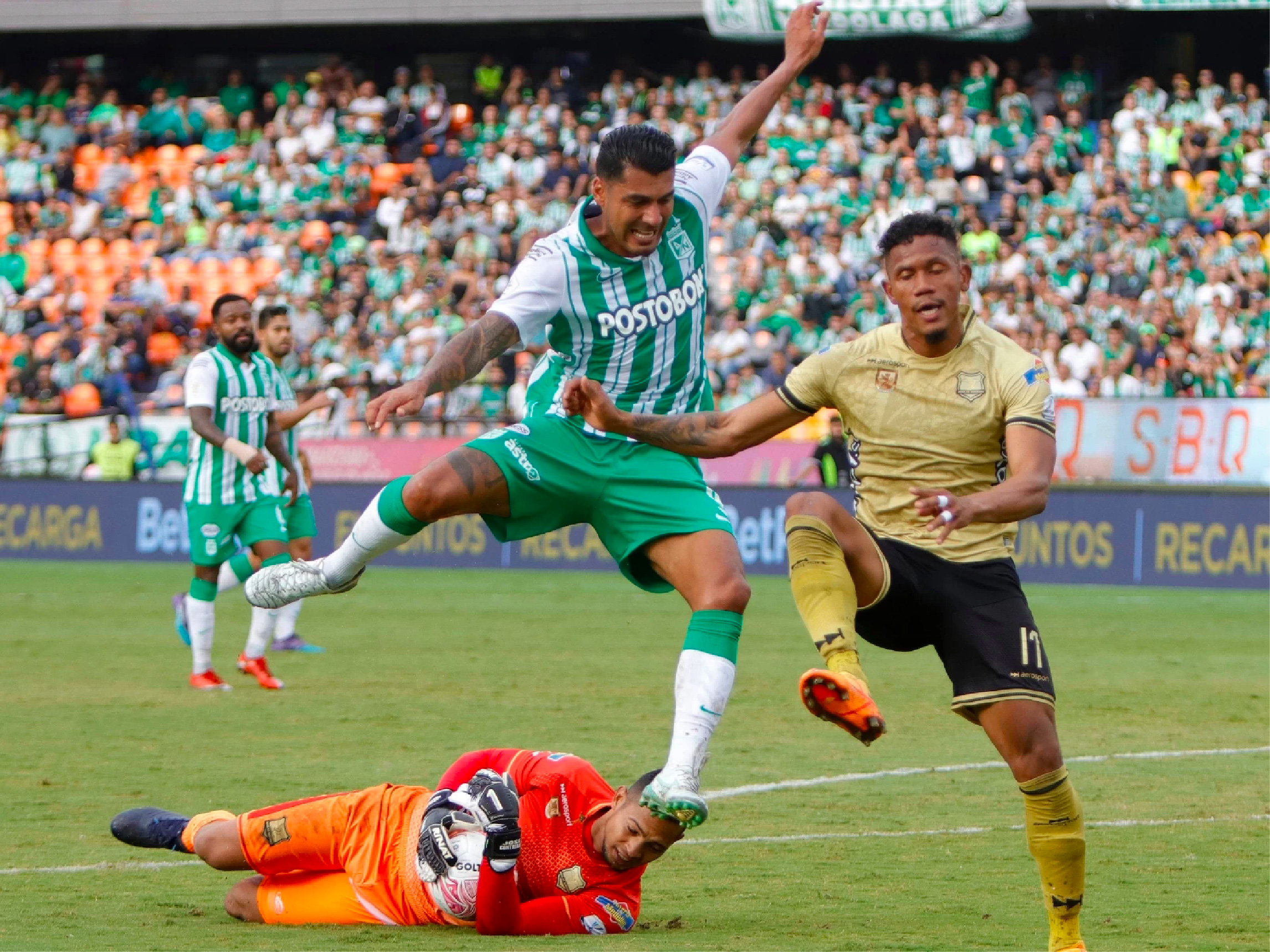 web-23-aguilas-doradas-nacional-agosto