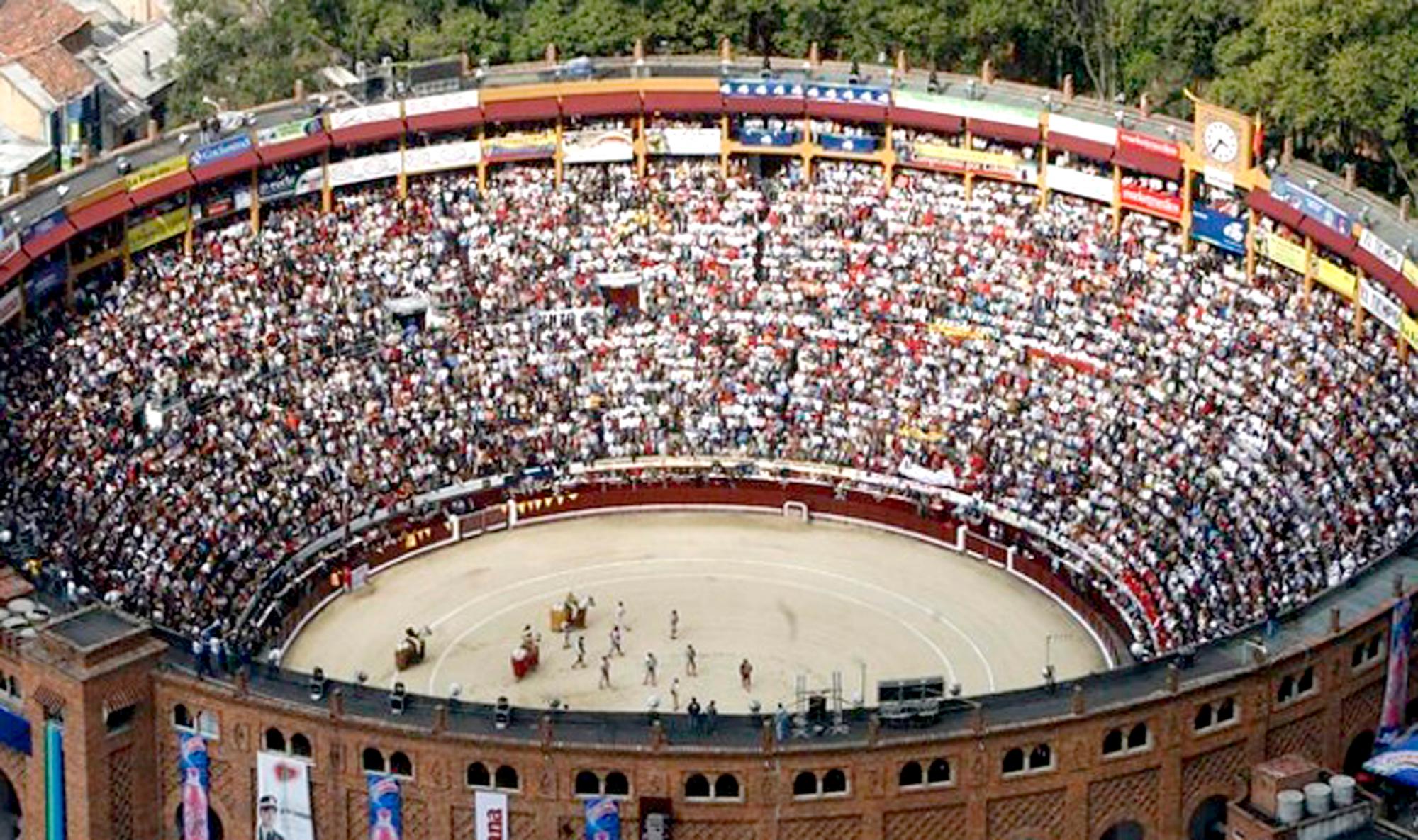 Senado Aprobó En Segundo Debate El Proyecto Que Prohíbe Las Corridas De Toros En Colombia 0454