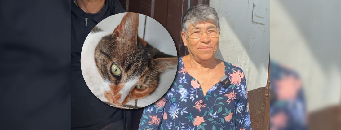 web-23-nota-mujer-gato-perdido-rio