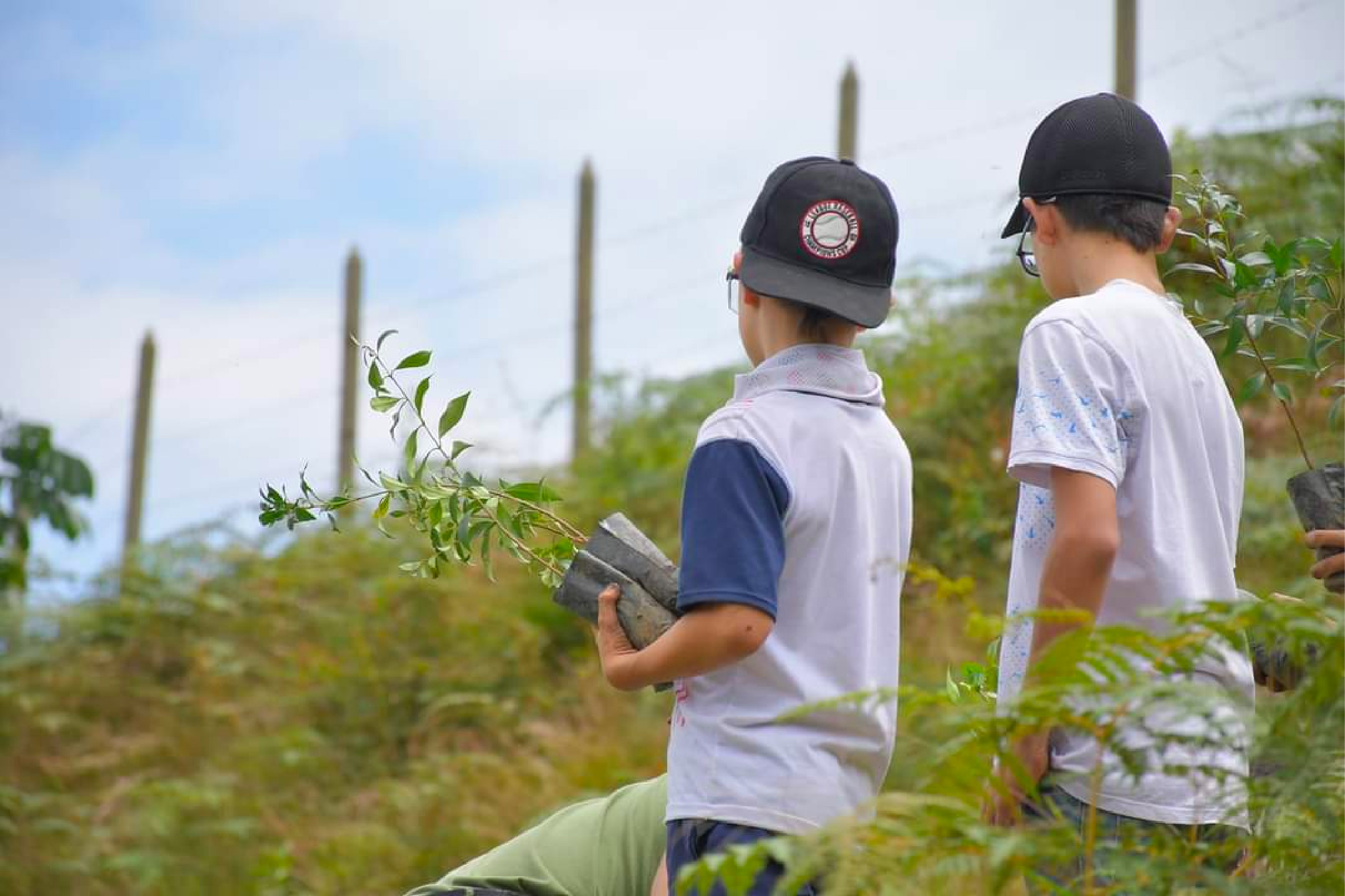 web-23-el-retiro-siembra-arboles