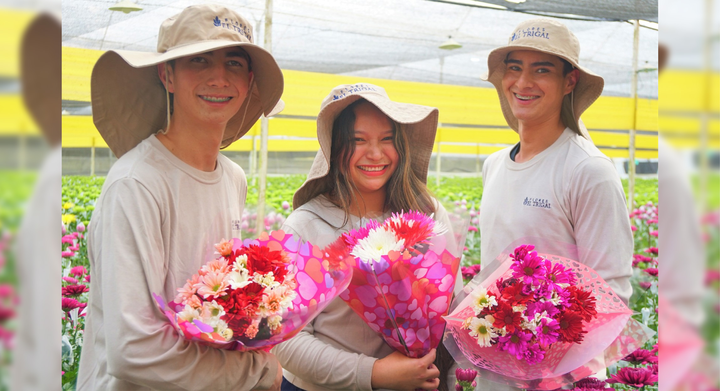 web-23-trigal-noti-oct