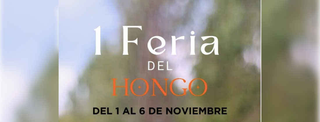 web-feria-hongo-santuario