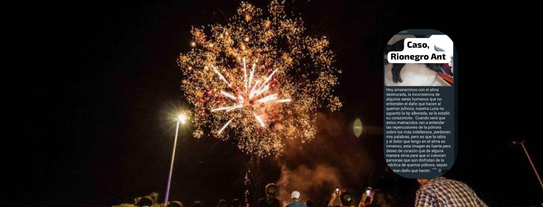 web-muerte-perrita-polvora