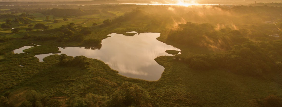 web-parque-humedal-comfama