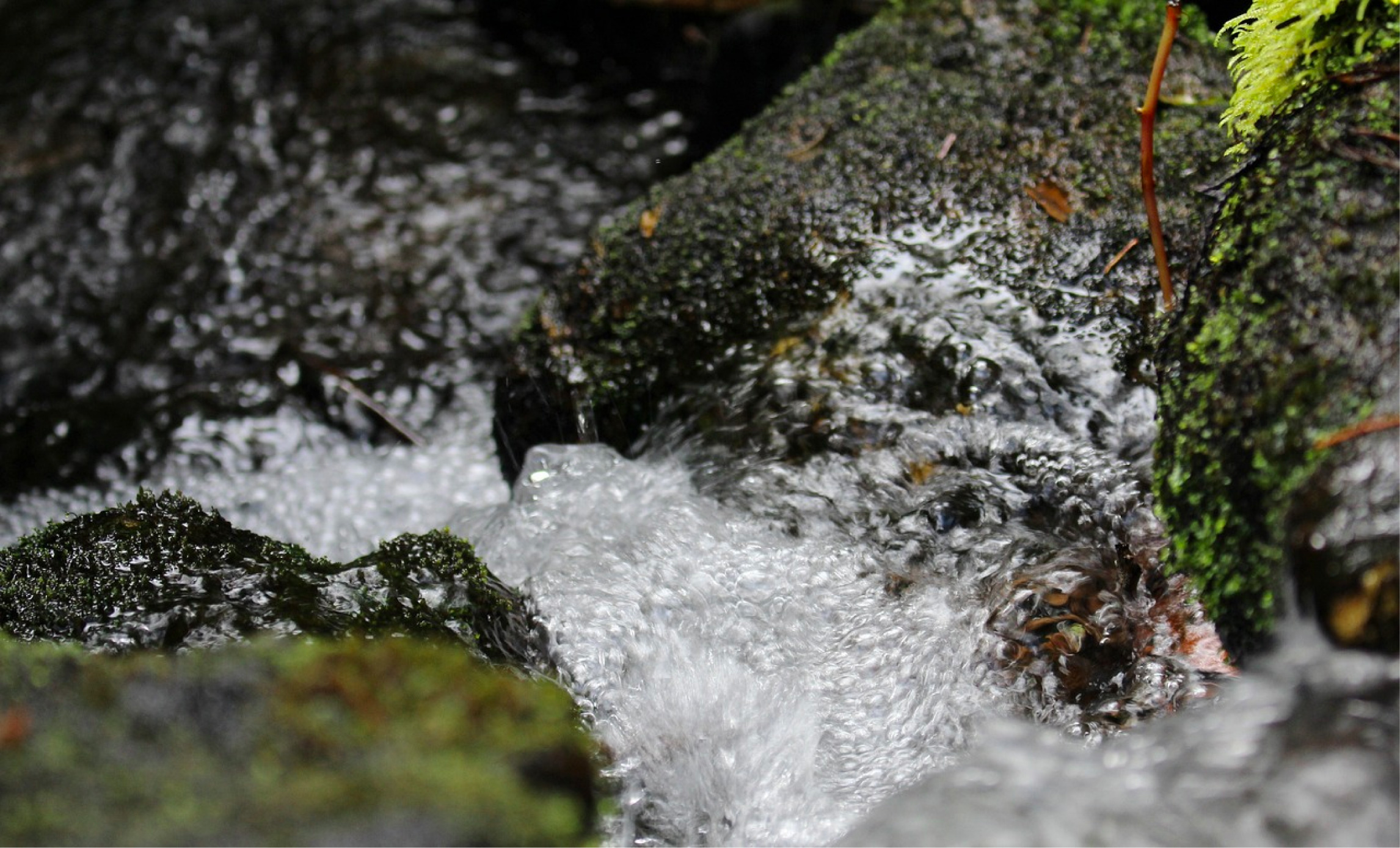 web-vereda-de-el-carmen-razonamiento-agua