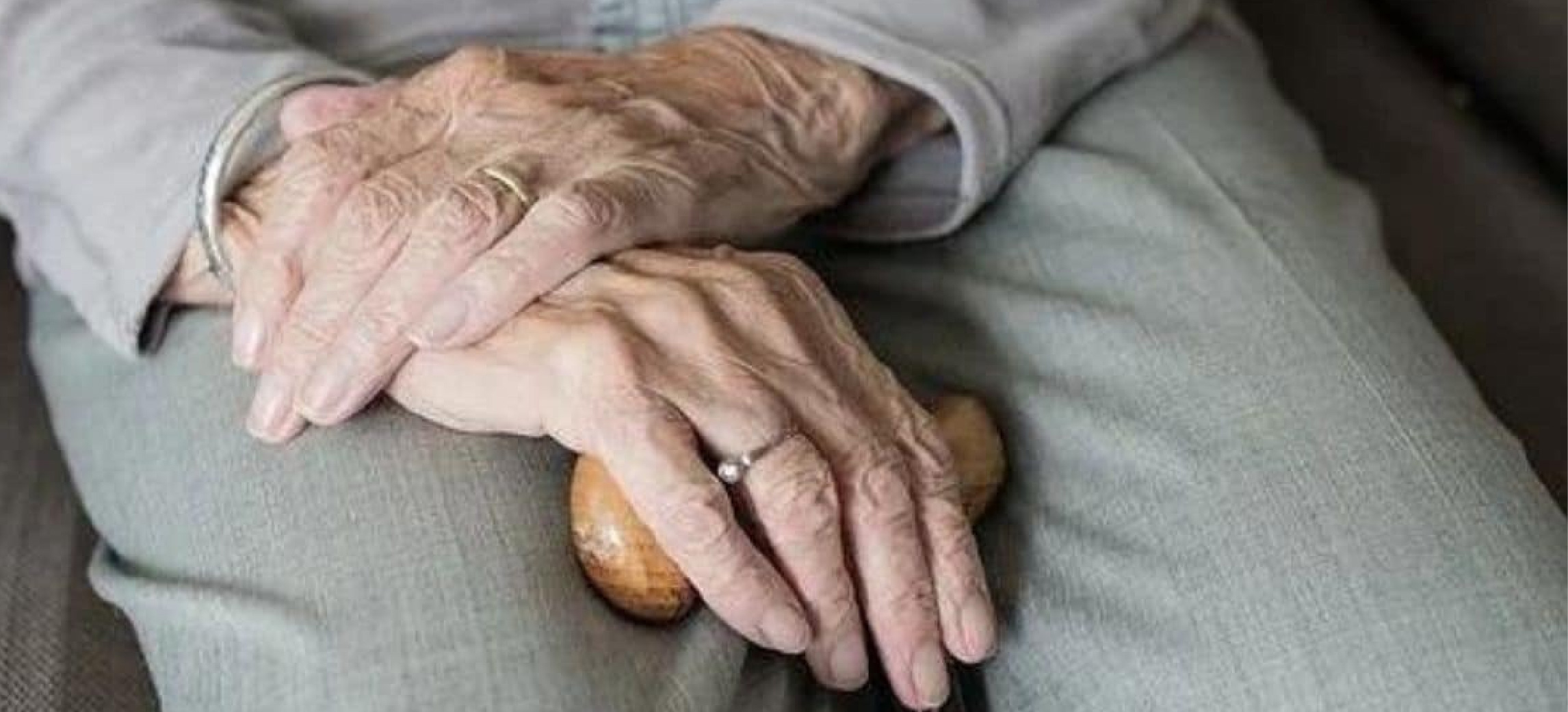 web-Adulto-Mayor-Refrencia