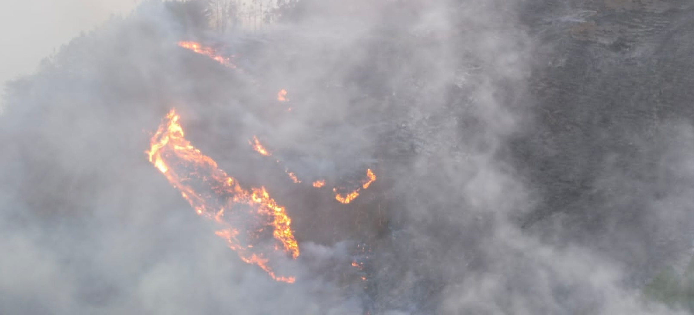 web-Cornare-emitio-recomendaciones-para-la-temporada-de-menos-lluvias