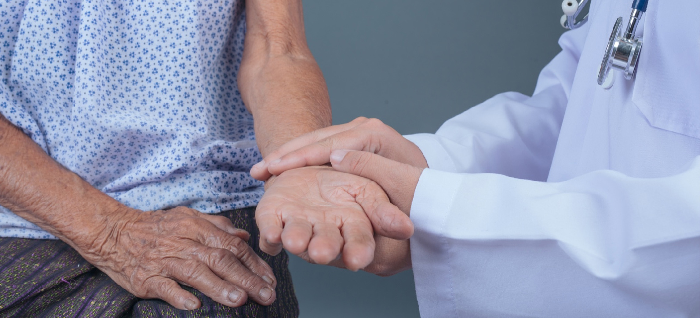 web-Doctor-referencia