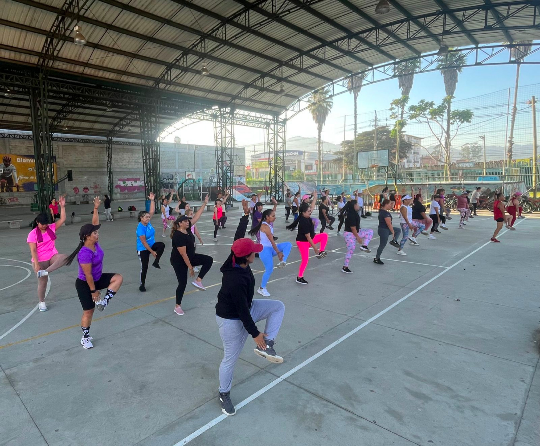 web-la-ceja-aerobicos-programacion