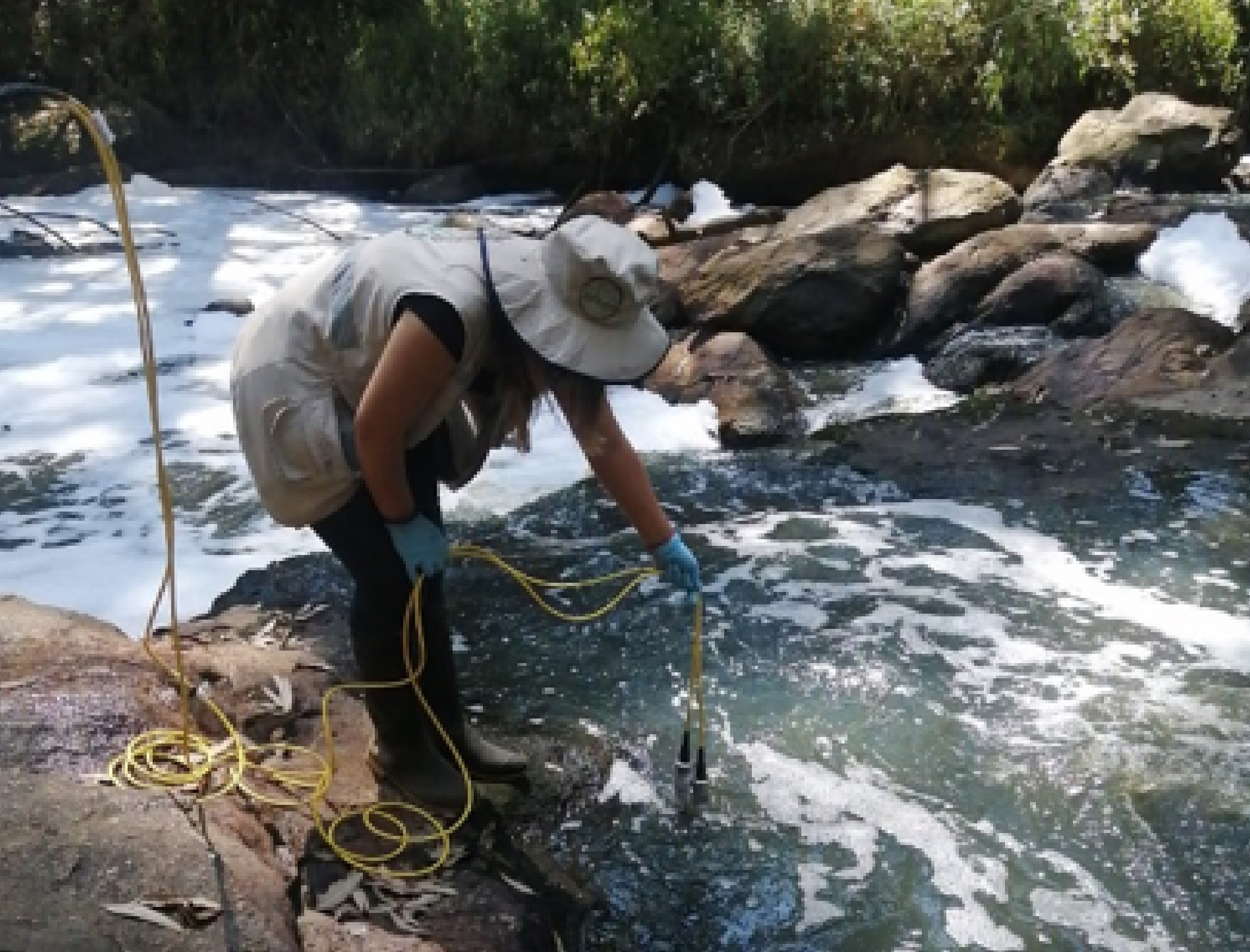 WEB-24-ESPUMA-LA-PEREIRA-CORNARE