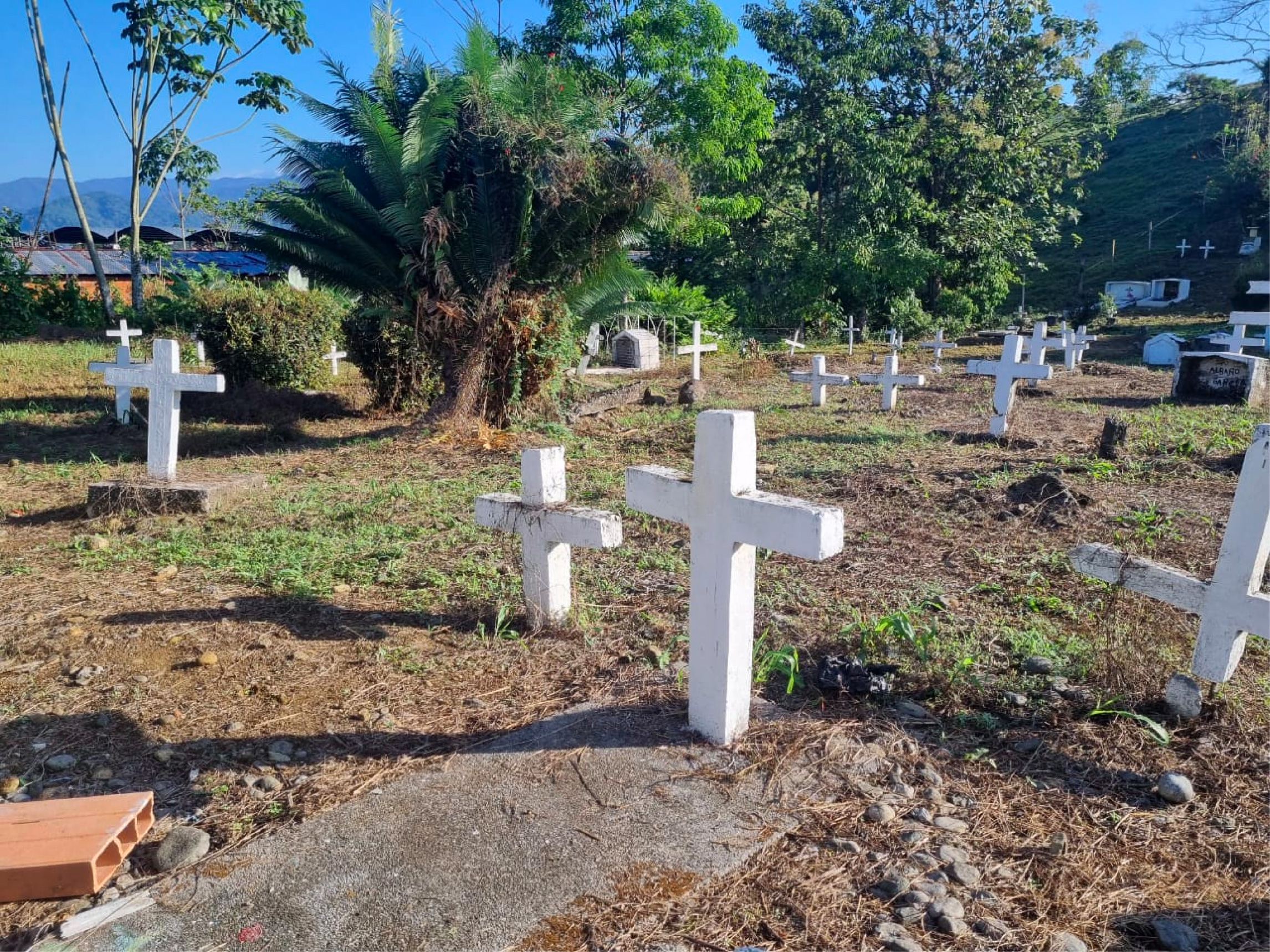 web-jep-audiencia-falsos-positivos.carmen-viboral