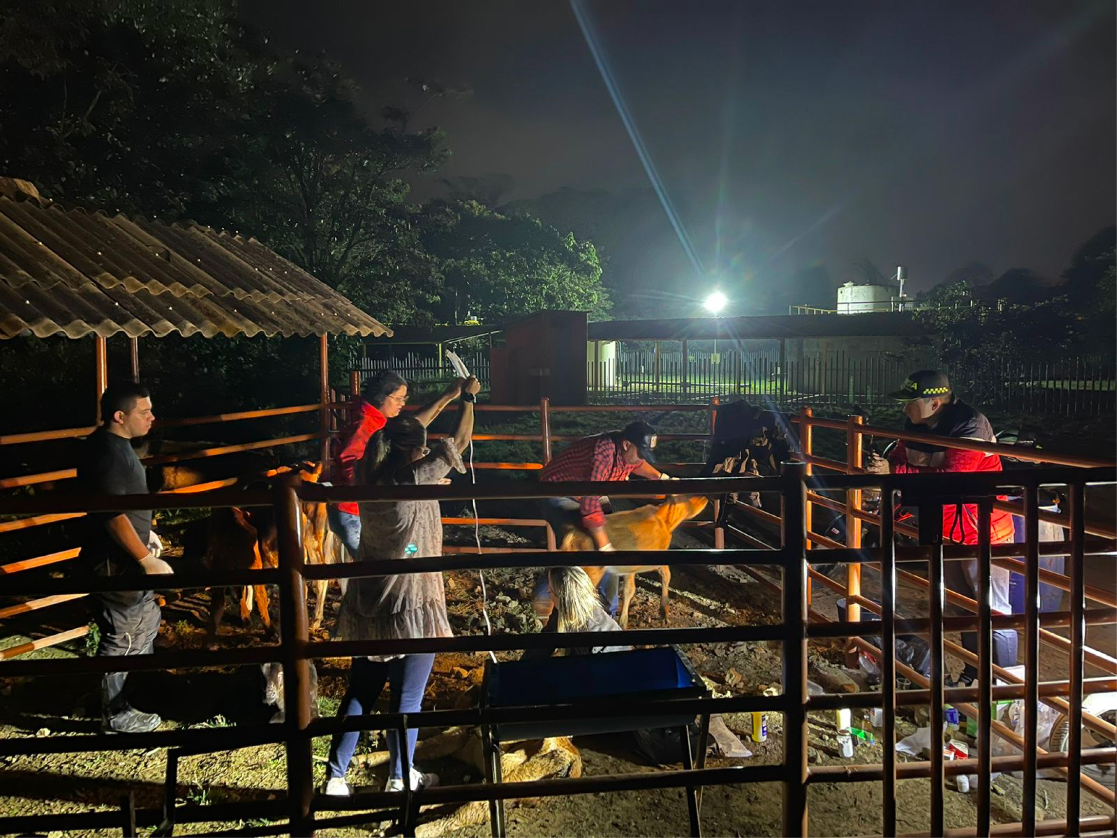 web-terneros-carmen-viboral