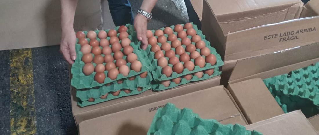 web-exportacion-huevos-cuba