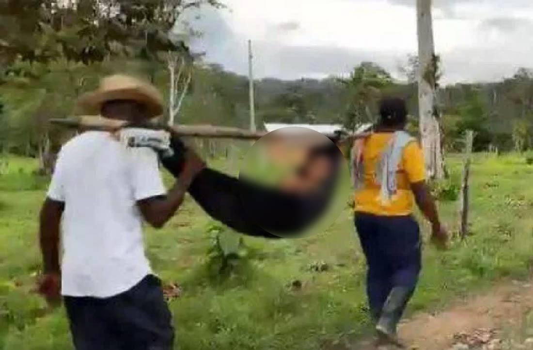 web-muere-niño-antioquia-mordido-serpiente