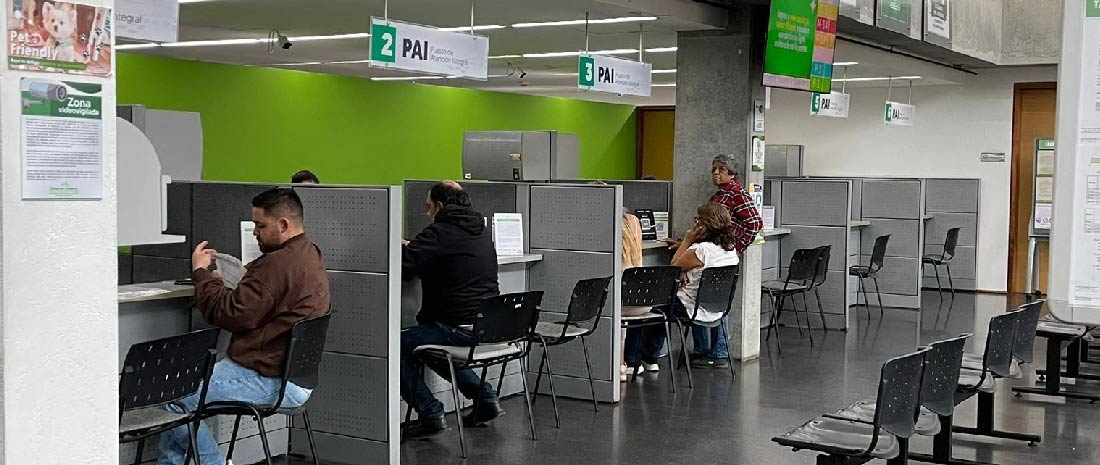 web-renovar-matricula-mercantil