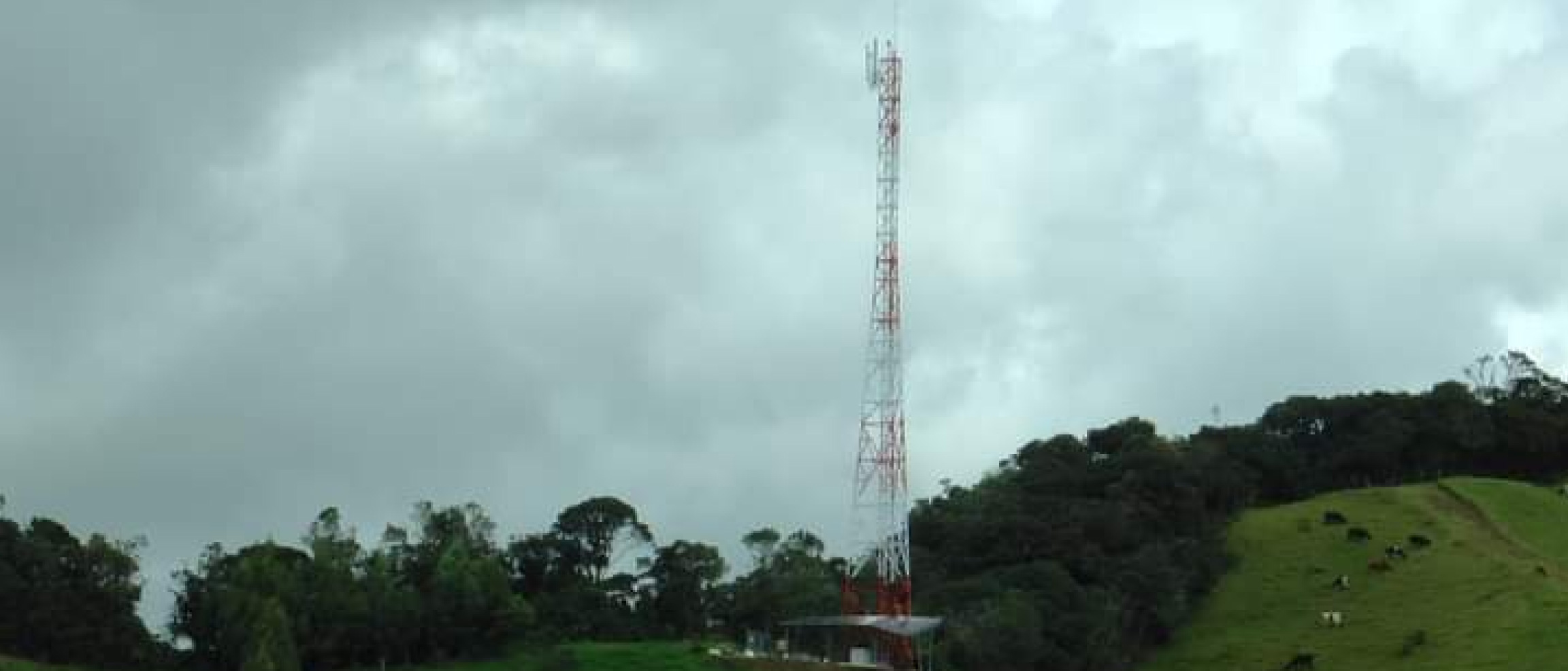 web-robos-en-La-Union