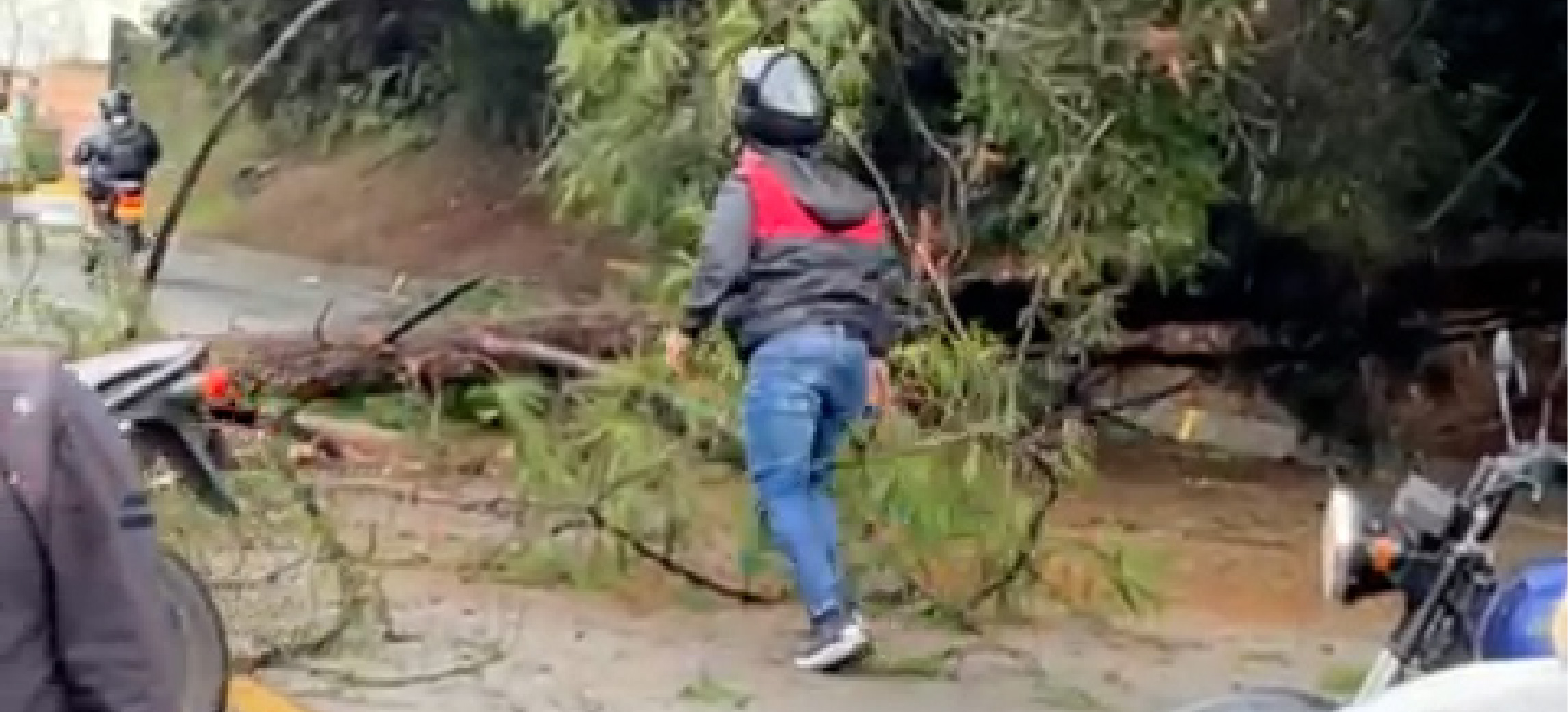 web-Caída-de-árbol-en-la-vía-Medellín-Bogotá-dejó-un-motociclista-lesionado