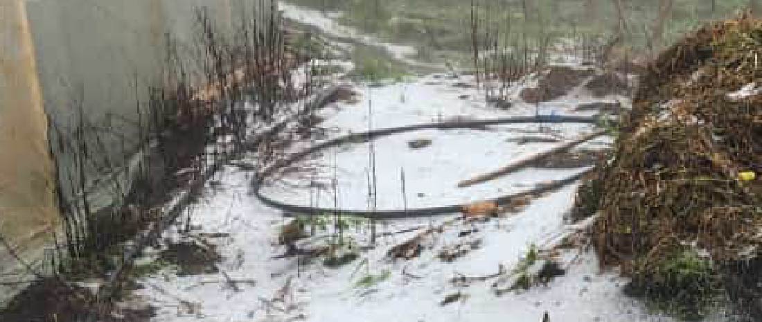 Balance de afectaciones por fuertes lluvias en Guarne: 30 familias están afectadas