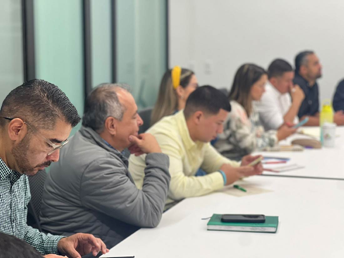 web-empresas-ceo-nodo-departamental-seguridad