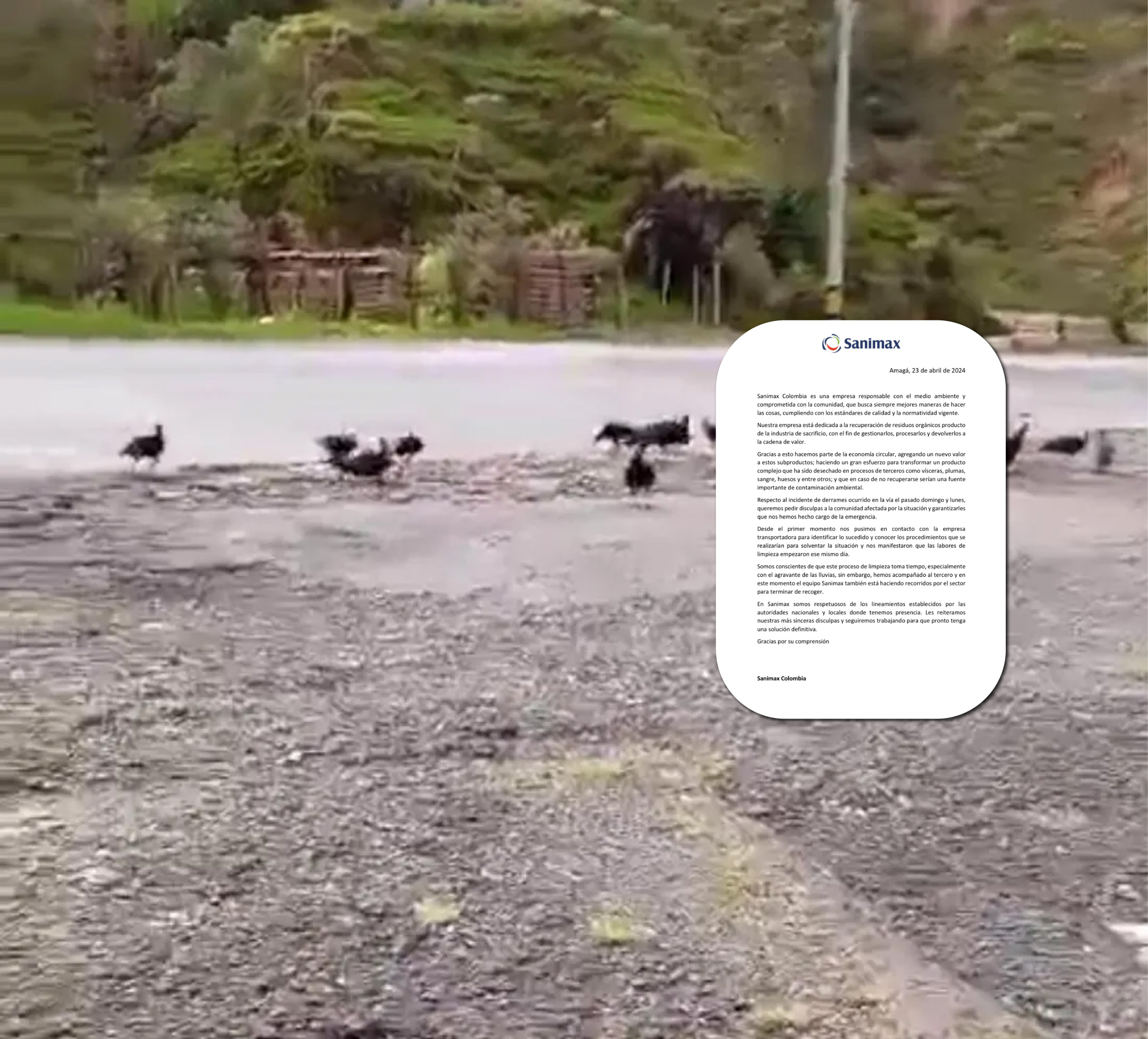 web-sanimax-colombia-animales-muertos