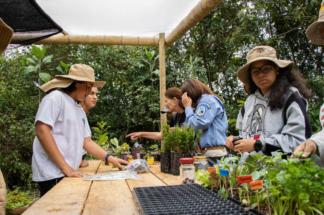 web-tejiendo-vida-convocatoria-cornare