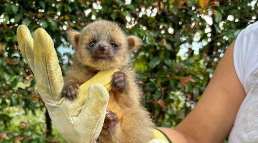 WhatsApp Image 2024-05-15 at 6.47.25 PM