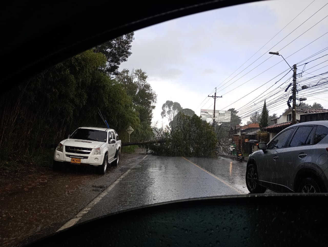 Vías bloqueadas por caída de árboles debido a  fuerte tormenta en Rionegro