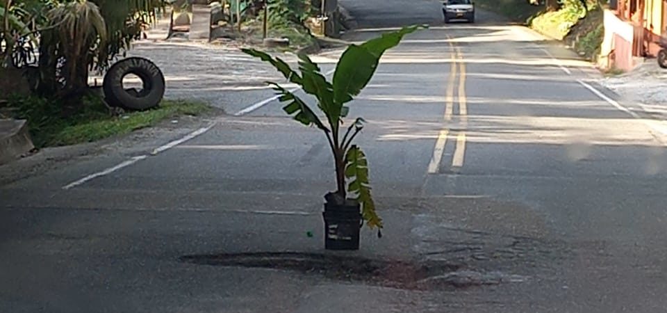 WhatsApp Image 2024-05-20 at 11.13.40 AM