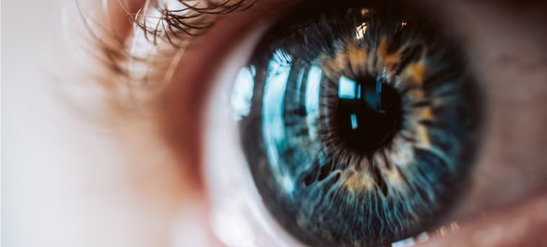 web-Hábitos-de-vida-consejos-para-cuidar-la-visión