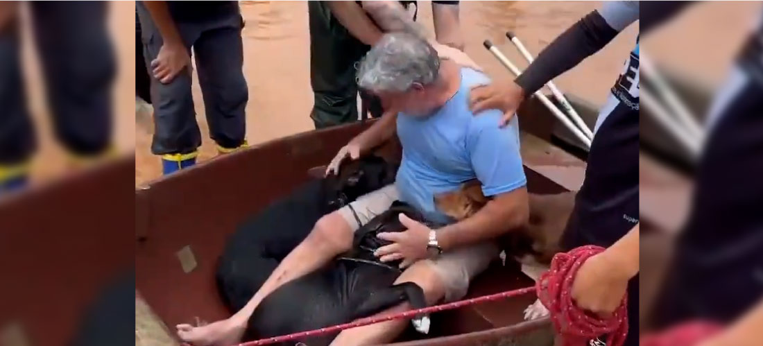Video: hombre arriesgó su vida para salvar a sus cuatro perros de una inundación en Brasil