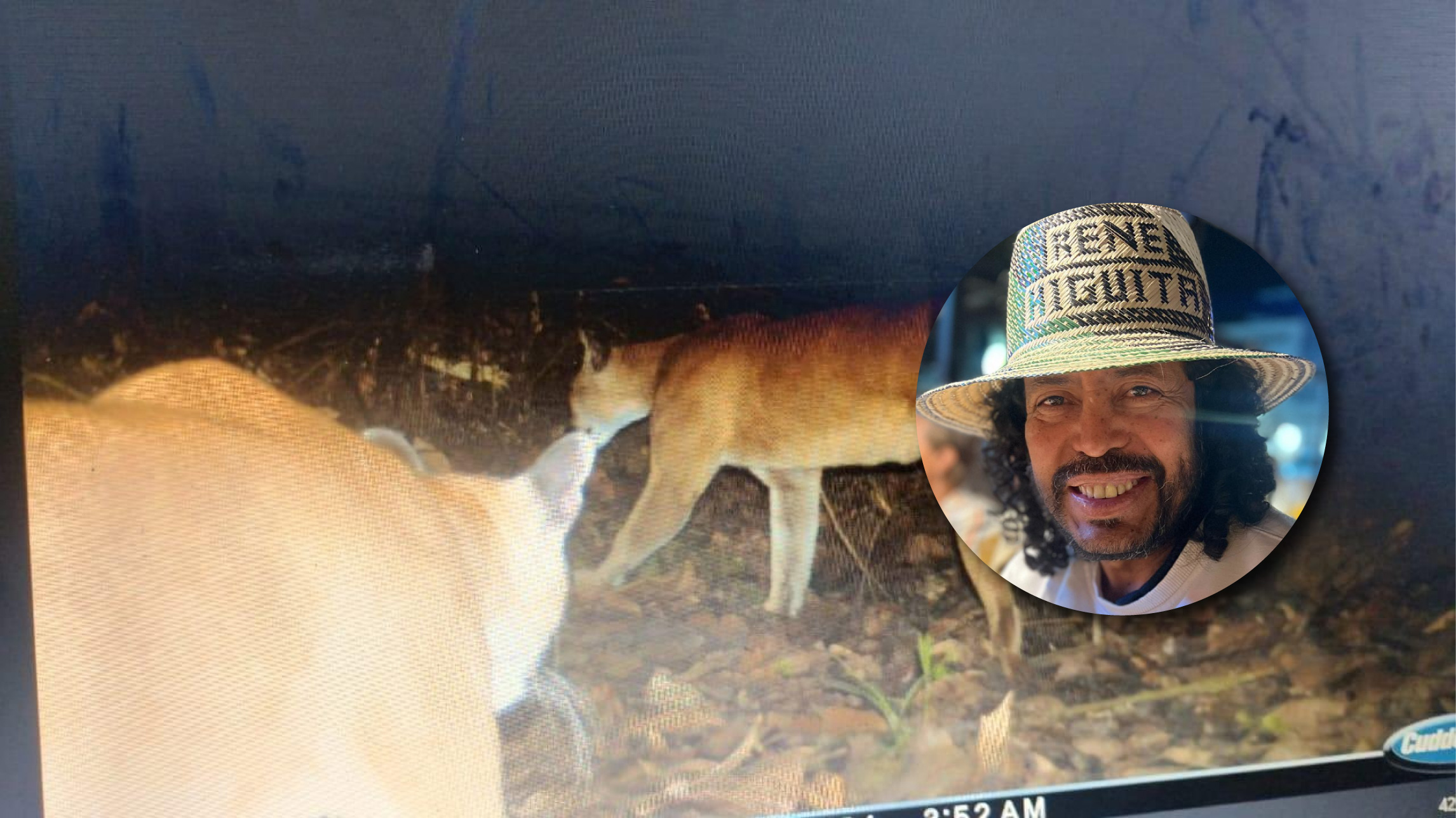 René Higuita solicitó ayuda para salvar a dos pumas en Yondó