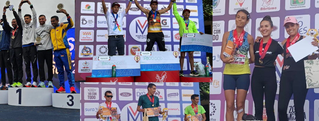 web-ganadores-en-brasil