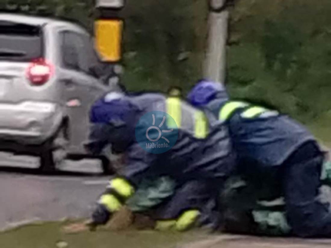 Dos agentes de tránsito en Rionegro resultaron heridos en procedimiento: un hombre fue reducido tras agredir a los funcionarios